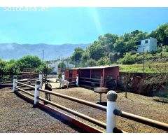 Finca rustica en Venta en La Orotava, Santa Cruz de Tenerife