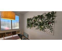 Planta baja nueva reformada entero