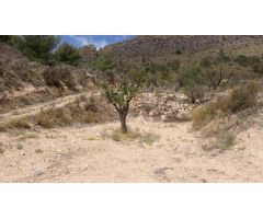 VENTA-PARCELA URBANA-ALTIPLANO-MURCIA-PARCELA 360.000 M2-PRECIO 90.000 EUR