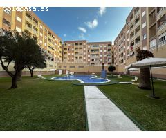 VENTA-APARTAMENTOS-TORREVIEJA-1D-1B-BALCON-600M PLAYA  NAUFRAGOS