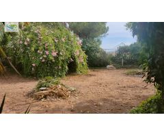 Planta Baja con Terreno, Totalmente Amueblada y Servicios Incluidos