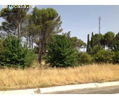 Terreno urbano en venta en carretera Pastrana, 21, Santorcaz