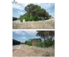 Terreno urbano en venta en carretera Pastrana, 21, Santorcaz