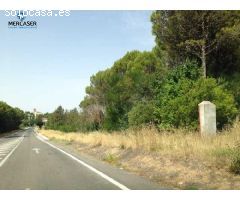 Terreno urbano en venta en carretera Pastrana, 21, Santorcaz