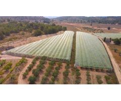Finca con masía en Monovar
