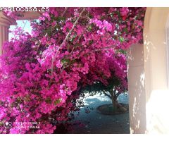 Espectacular chalet independiente en Mutxamel (Alicante)
