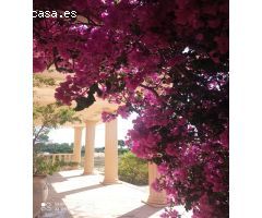 Espectacular chalet independiente en Mutxamel (Alicante)