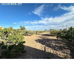 Chalet Espacioso en San Vicente del Raspeig - Oportunidad de Reformar a tu Gusto