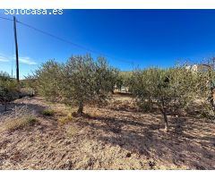 Chalet Espacioso en San Vicente del Raspeig - Oportunidad de Reformar a tu Gusto