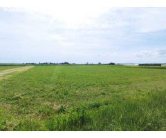 Terreno rural en Venta en Movera, Zaragoza