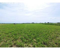 Terreno rural en Venta en Movera, Zaragoza