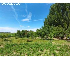 Terreno rural en Venta en Movera, Zaragoza