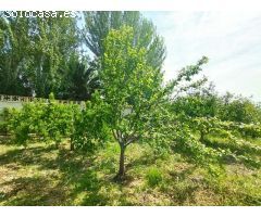 Terreno rural en Venta en Movera, Zaragoza