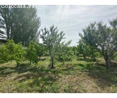 Terreno rural en Venta en Movera, Zaragoza