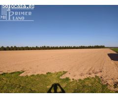 Se venden 13 hectareas de tierra blanca en la zona de la Alavesa