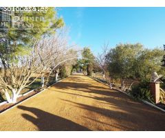 En venta Chalet de 13.934 m2 con 246 m2 construidos, junto a Ctra Villarobledo, por solo 130.000 €.
