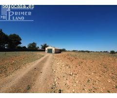 *Parcela con 11.461m2 con nave de 90 m2 en la zona de Carretera de Alavesa*