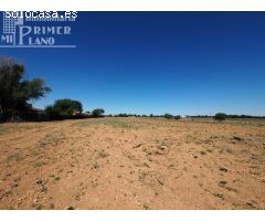 *Parcela con 11.461m2 con nave de 90 m2 en la zona de Carretera de Alavesa*