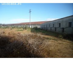 Nave industrial en Venta en Tomelloso, Ciudad Real