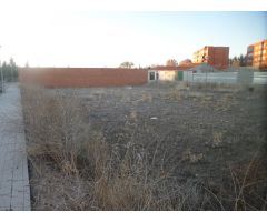 Solar de 250 m2 POLIGONO 20 en la Avenida principal, Avda De La Constitucion con 11 metros fachada