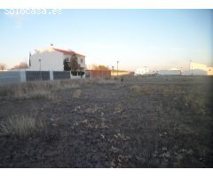 Solar de 250 m2 POLIGONO 20 en la Avenida principal, Avda De La Constitucion con 11 metros fachada
