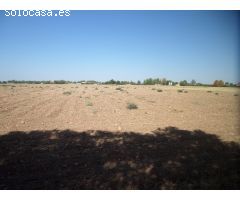 Solar en Venta en Argamasilla de Alba, Ciudad Real