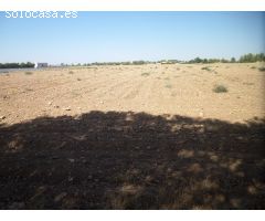 Solar en Venta en Argamasilla de Alba, Ciudad Real