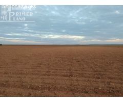Se venden 2,5 fanegas de tierra de secano junto a la vereda