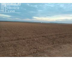 Se venden 2,5 fanegas de tierra de secano junto a la vereda