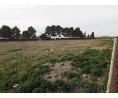 Se vende parcela de terreno rustico en la carretera de Argamasilla de Alba