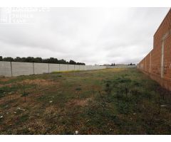 Se vende solar en Tomelloso con 3250m2 de superficie y 25 de fachada