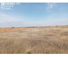 ???? Parcela Rústica en Venta – Ossa de Montiel (Zona Carretera Villarrobledo) ????
