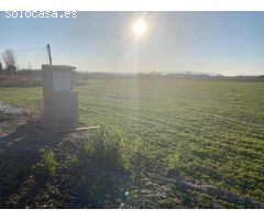Finca Rústica en Pinos Puente