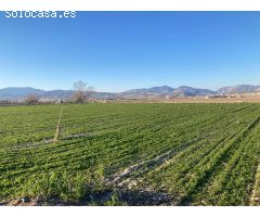 Finca Rústica en Pinos Puente