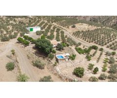 FINCA DE REGADÍO ECOLÓGICA EN MÁLAGA