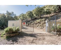 Finca rustica en Venta en Jubrique, Málaga