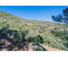 Finca rustica en Venta en Jubrique, Málaga