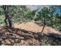 Finca rustica en Venta en Jubrique, Málaga