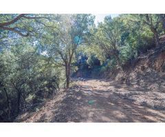 Finca rustica en Venta en Jubrique, Málaga