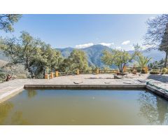 Finca rustica en Venta en Jubrique, Málaga