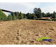 Finca Urbana Lendoiro 1500m²