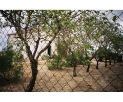 Finca en Campanario Badajoz