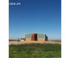 Finca en Campanario Badajoz