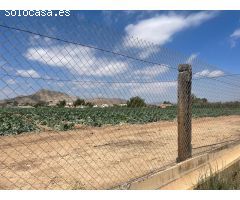 VENTA DE PARCELA EN ASPE (ALICANTE)