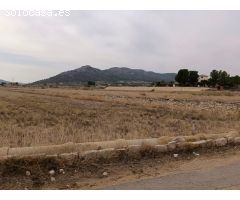 VENTA DE PARCELA EN LA ROMANA (ALICANTE)