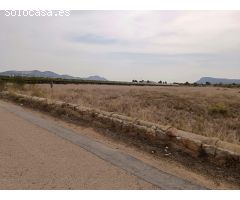 VENTA DE PARCELA EN LA ROMANA (ALICANTE)
