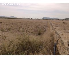 VENTA DE PARCELA EN LA ROMANA (ALICANTE)