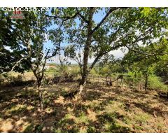 CASA PARA REFORMAR EN LA ZONA DE CASTRO DE COVAS.