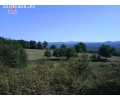 SE VENDE FINCA URBANIZABLE EN SAN MIGUEL DO CAMPO