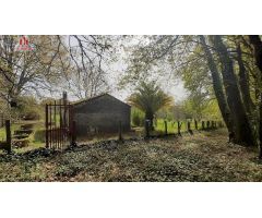 FINCA RÚSTICA DE MAS DE 6000M2 CON PEQUEÑA VIVIENDA Y POZO, EN COLES